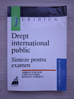 Adrian Nastase, Cristian Jura - Drept international public. Sinteze pentru examen