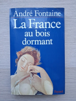 Andre Fontaine- La France au bois dormant