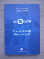 Andy Szekely - Cum sa ai cash din abundenta