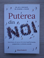 Jay J. van Bavel, Dominic J. Packer - Puterea din noi. Identitatea de grup stimuleaza performanta, cooperarea si armonia sociala
