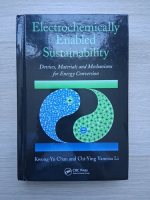 Kwong Yu Chan, Chi Ying - Electrochemically enable sustainability