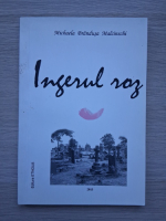 Michaela Brandusa Malcinschi - Ingerul roz