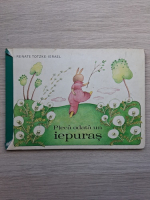 Renate Totzke Israel - Pleca odata un iepuras