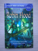 Robin Hood (repovestire de Rob Lloyd Jones). Mini roman, Nivelul 3