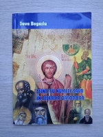 Sava Bogasiu - Sfinti cu numele Sava in biserica ortodoxa