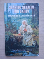 Sfantul Serafim din Sarov. Stalp de foc de la pamant la cer