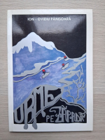 Ion Ovidiu Panisoara - Urme pe zapada