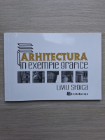 Liviu Stoica - Arhitectura in exemple grafice