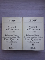 Miguel de Cervantes - Leben und taten des scharfsinnigen edlen Don Quixote von La Mancha (2 volume)