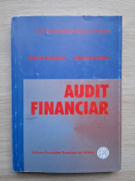 Mircea Boulescu, Corneliu Barnea - Audit financiar