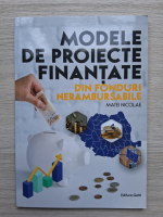 Nicolae Matei - Modele de proiecte finantate din fonduri nerambursabile