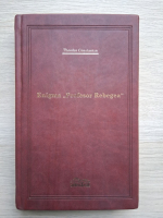 Theodor Constantin - Enigma profesor Rebegea