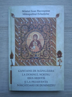 Canoane de mangaiere la Domnul nostru Iisus Hristos si la Preasfanta Nascatoare de Dumnezeu