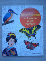 David Woodroffe - Mindfulness. Coloreaza dupa numere