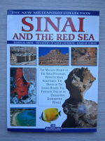 Giovanna Magi - Sinai and the Red Sea