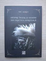 Ion Marcu - Despre ingeri si demoni din practica spirituala