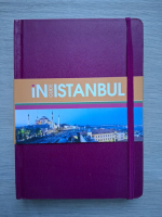 Istanbul (ghid turistic)