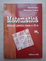 Marcel Tena - Matematica. Manual pentru clasa a XI-a, M1