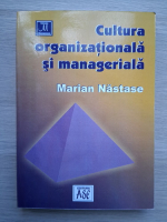 Marian Nastase - Cultura organizationala si manageriala