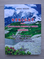Sergiu Mischie - Strigat despre trecutul istoric, prezentul si viitorul Romaniei