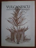 Mihu Vulcanescu - Dizionario dell impossibile (album)