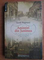 Iacob Negruzzi - Amintiri din Junimea