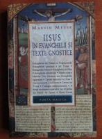 Marvin Meyer - Iisus in evanghelii si texte gnostice 