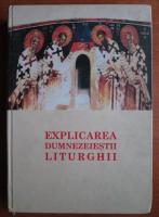 Stefanos Anagnostopoulos - Explicarea dumnezeiestii liturghii