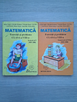 Adrian Ciupitu, Gheorghe Nicolaescu - Matematica. Exercitii si probleme clasa a VIII-a (2 volume)