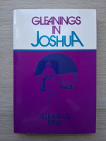Arthur W. Pink - Gleanings in Joshua