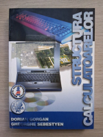 Dorian Gorgan - Structura calculatoarelor