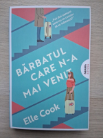 Elle Cook - Barbatul care n-a mai venit
