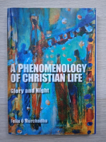 Felix O Murchadha - A phenomenology of christian life