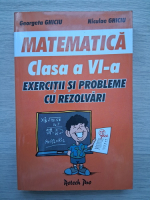 Georgeta Ghiciu, Niculae Ghiciu - Matematica, clasa a VI-a. Exercitii si probleme cu rezolvari