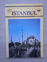 Istanbul (ghid turistic)