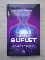 Ovidiu Dragos Argesanu - Despre suflet. Intrebari si raspunsuri