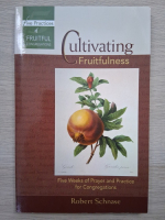Robert Schnase - Cultivating fruitfulness