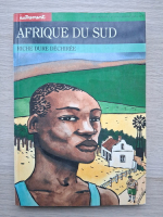 Afrique du sud