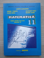 Alexandru Leonte, George Turcitu - Manual de matematica pentru clasa a XI-a. Programa M1