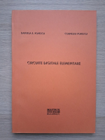 Daniela E. Popescu, Corneliu Popescu - Circuite digitale elementare