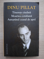 Dinu Pillat - Tinerete ciudata. Moartea cotidiana, Asteptand ceasul de apoi