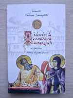 Emilianos Simonopetritul - Talcuiri si cateheze