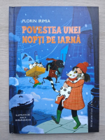 Florin Irimia - Povestea unei nopti de iarna
