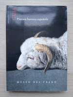 Guia. Pintura barroca espanola (album de arta)