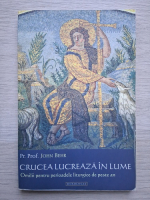 John Behr - Crucea lucreaza in lume