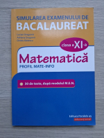 Lucian Dragomir - Matematica, clasa a XI-a. Simularea examenului de bacalaureat
