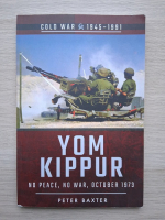 Peter Baxter - Yom Kippur. No peace, no war: October 1973
