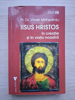 Viorel Mehedintu - Iisus Hristos in creatie si in viata noastra