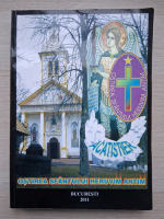 Ana Maria Voinea - Ostirea Sfantului Heruvim Antim