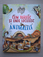 Cum traiesc si unde locuiesc animalele